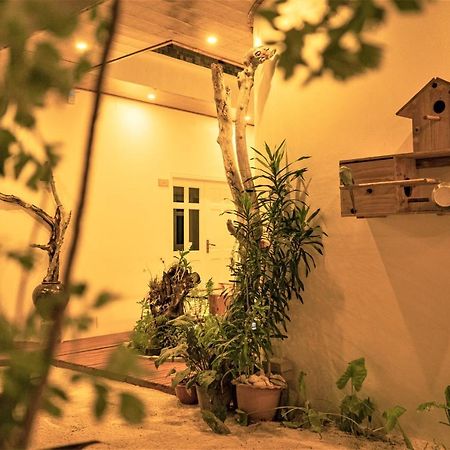 Nala Island Village Maafushi Zewnętrze zdjęcie